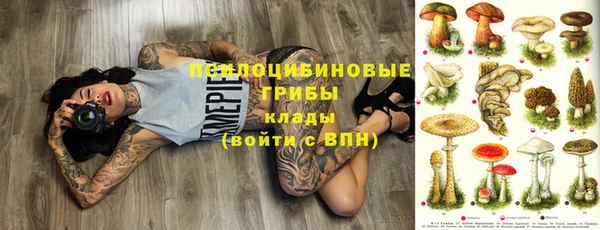 молекула духа Семёнов