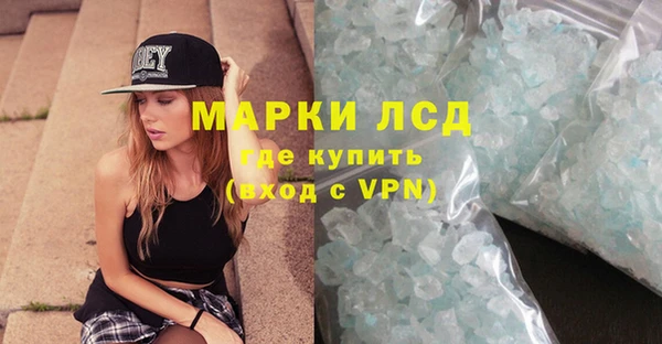 альфа пвп Гусев