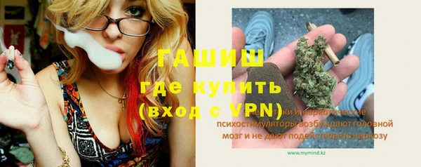 альфа пвп Гусев