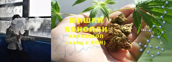 альфа пвп Гусев