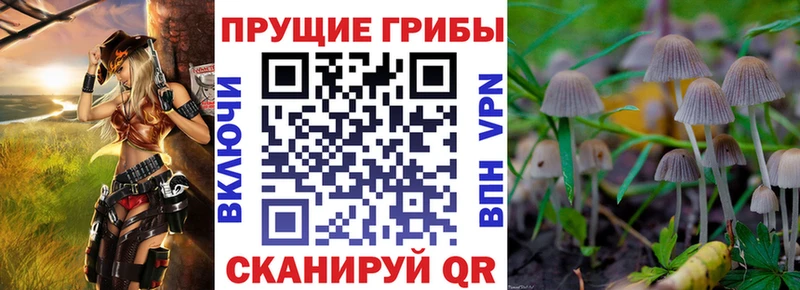 Купить  Нязепетровск  Галлюциногенные грибы Magic Shrooms 